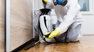 Real Estate Pest Inspections in Edwardsville, IL